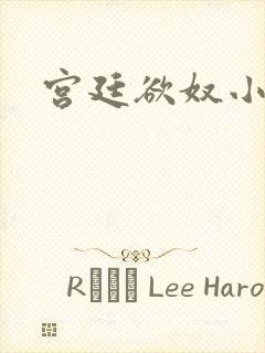 宫廷欲奴小说封面