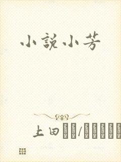 小说小芳封面