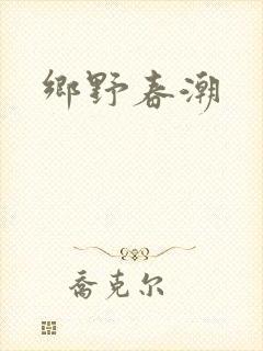 乡野春潮封面