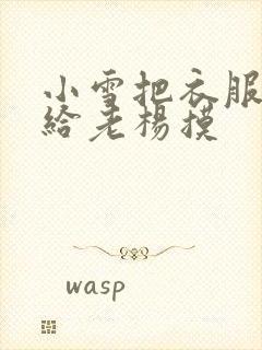 小雪把衣服解开给老杨摸