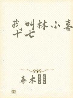 我叫林小喜今年十七