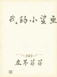 我的小鲨鱼