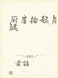 厨房抬起月月的腿封面