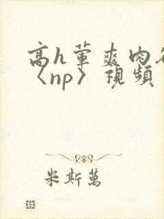高h荤爽肉欲文〈np〉视频