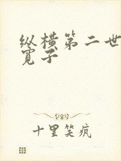 纵横第二世界 宽子封面