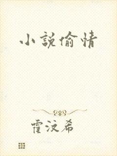 小说偷情