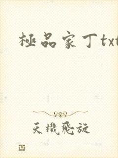 极品家丁txt封面