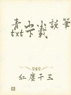 青山小说笔趣阁txt下载