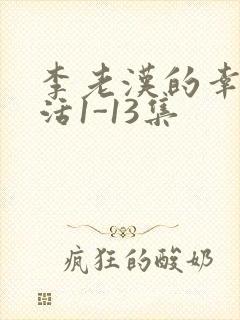 李老汉的幸福生活1-13集