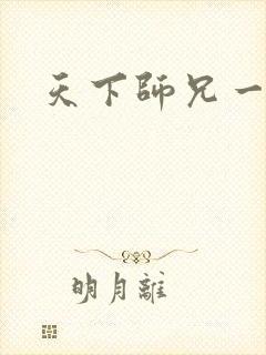 天下师兄一般黑封面