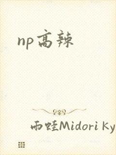 np高辣