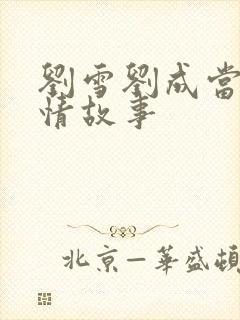 刘雪刘成当代爱情故事