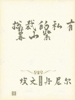 总裁的私有宝贝 暮山紫封面