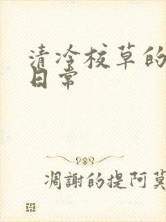 清冷校草的抹布日常封面