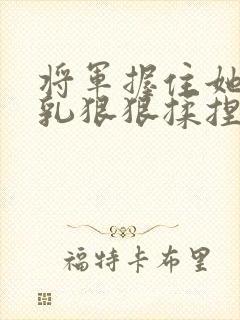 将军握住她的双乳狠狠揉捏