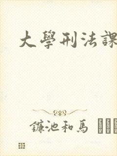大学刑法课