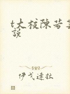 t大校陈若芸小说