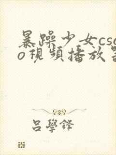 暴躁少女csgo视频播放器推荐