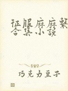 征服麻麻系列大合集小说