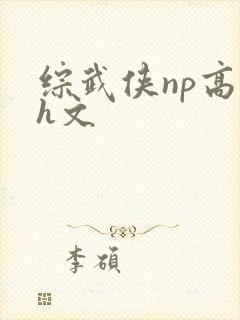 综武侠np高辣h文封面