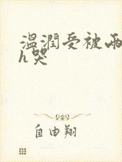 温润受被两个攻h哭封面