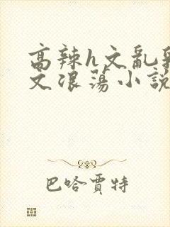 高辣h文乱乳h文浪荡小说苏卿封面