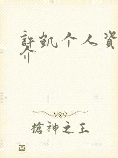 许凯个人资料简介封面