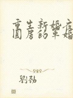 重生新婚夜正在圆房的军婚