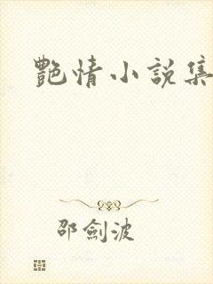 艳情小说集封面
