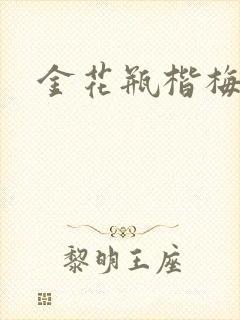 金花瓶楷梅花2封面