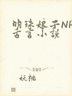 明珠娘子NPC古言小说