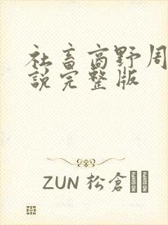 社畜商野周颂小说完整版封面