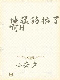 他猛的插了进去啊H