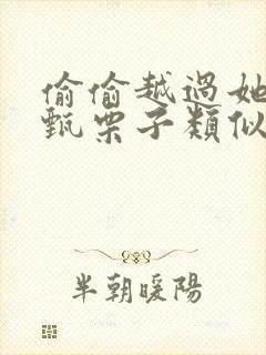 偷偷越过她by甄栗子类似小说封面