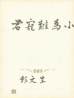 君宠难为小说封面