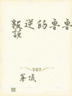 叛逆的鲁鲁修小说