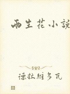 两生花小说封面