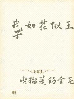 我如花似玉的儿子