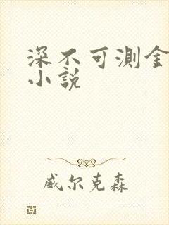 深不可测金银花小说