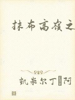 抹布高岭之花封面