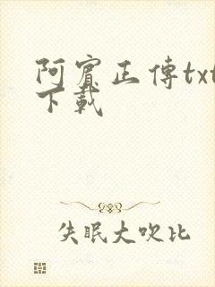 阿宾正传txt下载