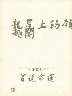 龙尾上的领主笔趣阁