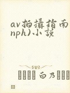 av拍摄指南(nph)小说