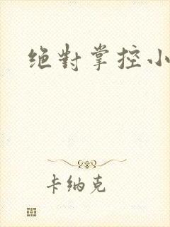 绝对掌控小说