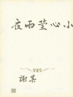 夜雨莹心小说