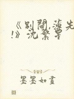 《别闹,薄先生!》沈繁星封面