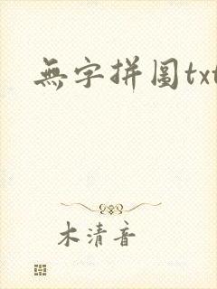 无字拼图txt