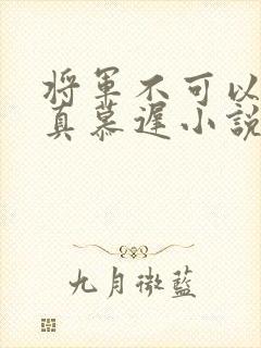 将军不可以魏云真慕迟小说笔趣阁封面