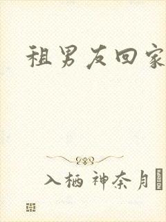 租男友回家过年封面