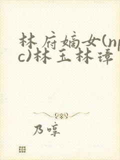 林府嫡女(npc)林玉林璋